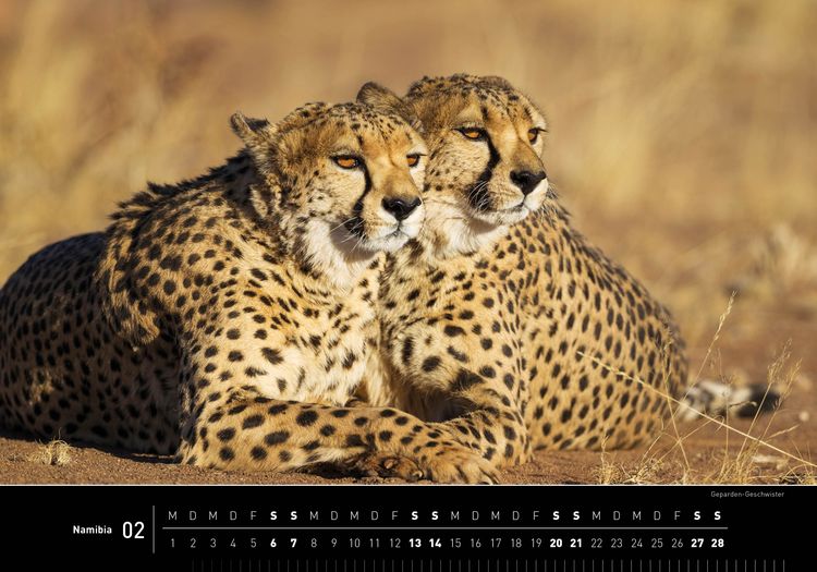 Produktbild: Namibia Premiumkalender 2027