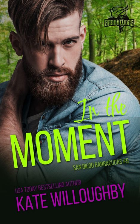 Produktbild: In the Moment (San Diego Barracudas, #5)