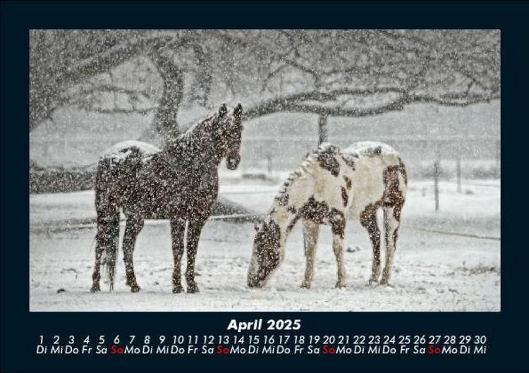 Produktbild: Winterzauber 2025 Fotokalender DIN A5