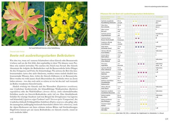 Produktbild: Kleiner Garten naturnah
