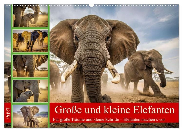 Produktbild: Gro&szlig;e und kleine Elefanten (Wandkalender 2027 DIN A2 quer), CALVENDO Monatskalender