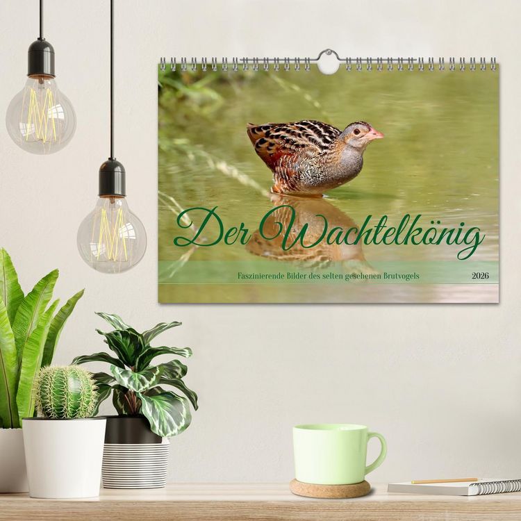 Produktbild: Der Wachtelk&ouml;nig (Wandkalender 2026 DIN A4 quer), CALVENDO Monatskalender