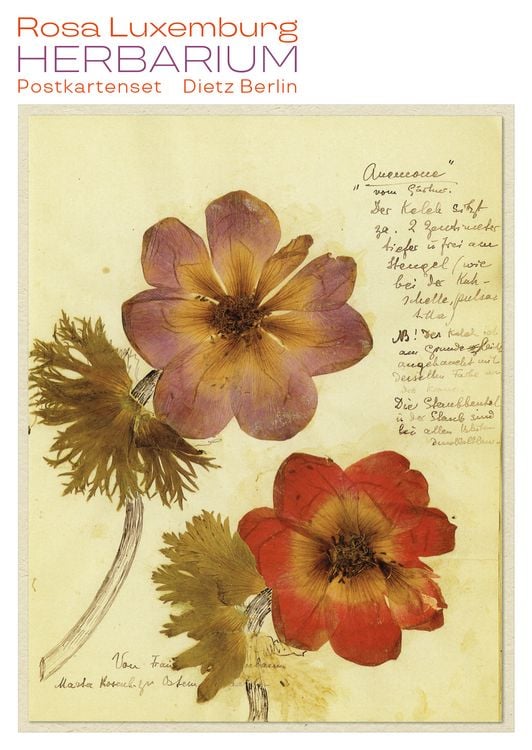 Produktbild: Herbarium Postkartenset