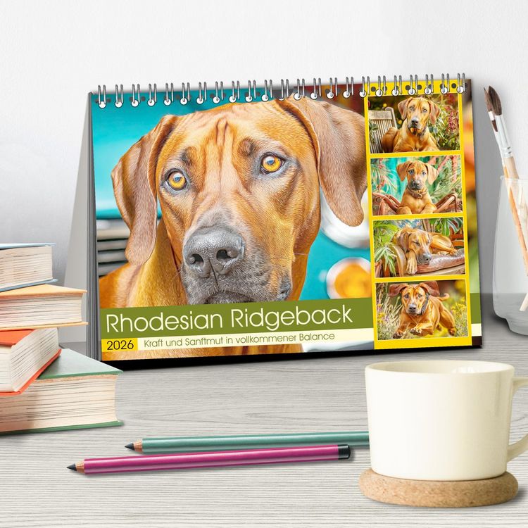Produktbild: Rhodesian Ridgeback. Kraft und Sanftmut in vollkommener Balance (Tischkalender 2026 DIN A5 quer), CALVENDO Monatskalender