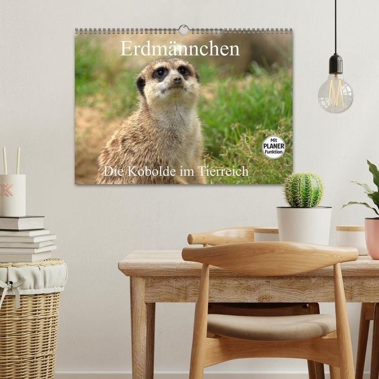 Produktbild: Erdm&auml;nnchen - Die Kobolde im Tierreich (Wandkalender 2026 DIN A3 quer), CALVENDO Monatskalender