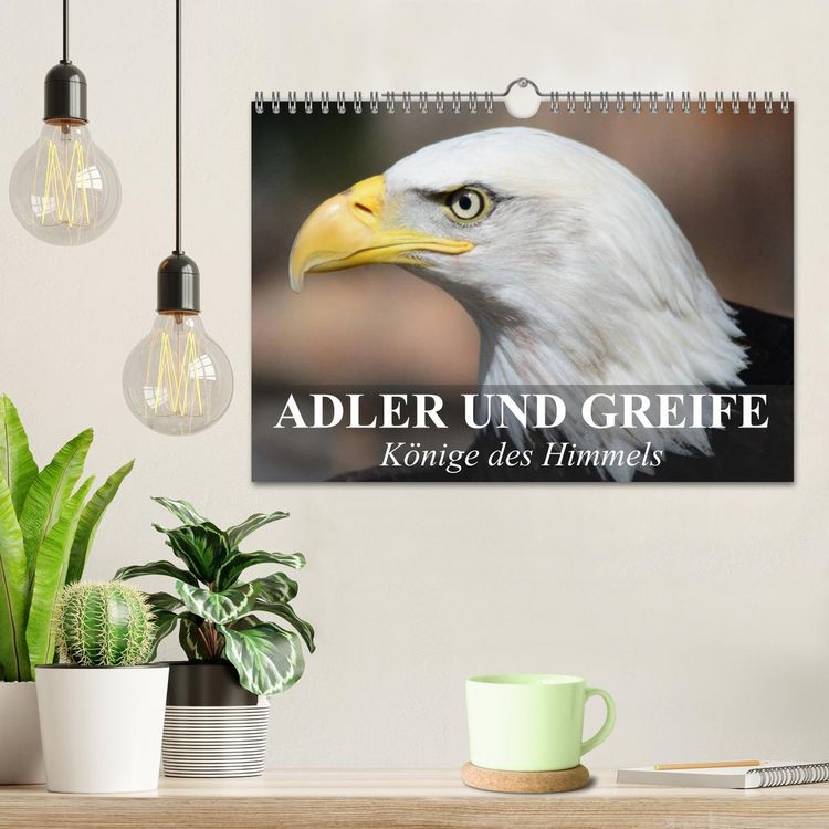 Produktbild: Adler und Greife - K&ouml;nige des Himmels (Wandkalender 2026 DIN A4 quer), CALVENDO Monatskalender
