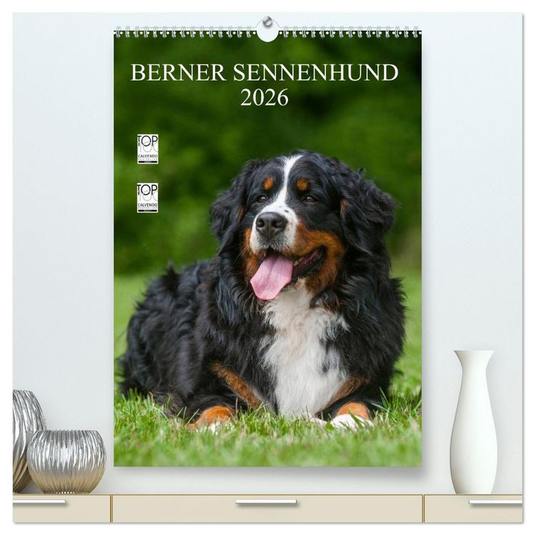 Produktbild: Berner Sennenhund 2026 (hochwertiger Premium Wandkalender 2026 DIN A2 hoch), Kunstdruck in Hochglanz