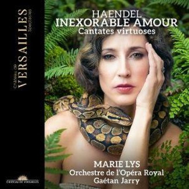 Produktbild: H&auml;ndel: Virtuose Kantaten [Inexorable Amour]