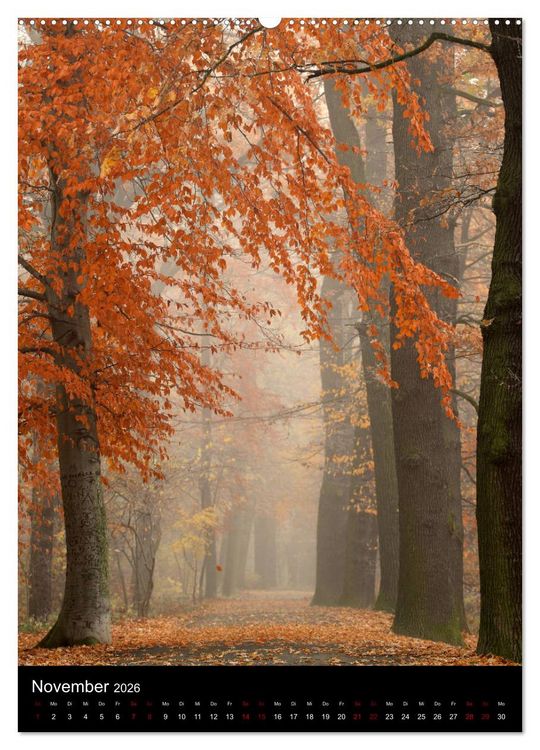 Produktbild: B&auml;ume - Stilles Leben (hochwertiger Premium Wandkalender 2026 DIN A2 hoch), Kunstdruck in Hochglanz