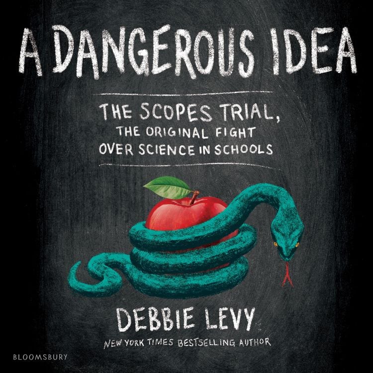 Produktbild: A Dangerous Idea