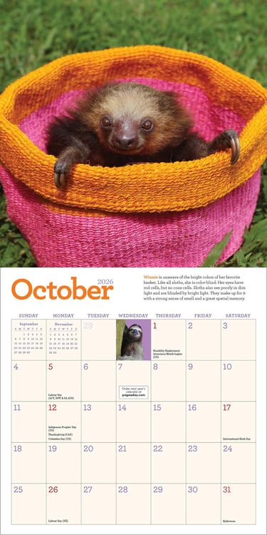 Produktbild: Original Sloths Mini Wall Calendar 2026