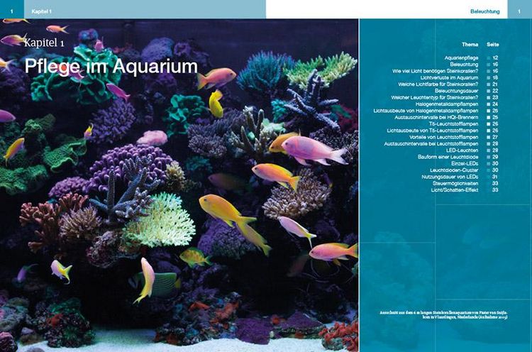 Produktbild: Steinkorallen im Aquarium Band 2