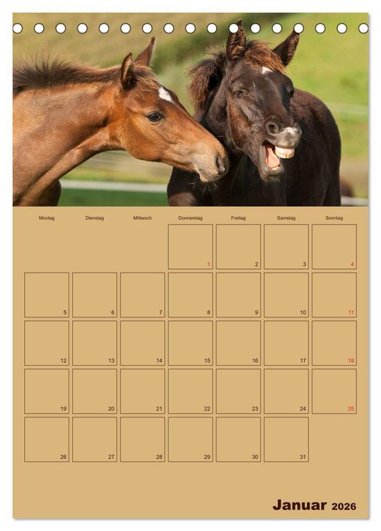 Produktbild: Pferde Gute Freunde (Tischkalender 2026 DIN A5 hoch), CALVENDO Monatskalender