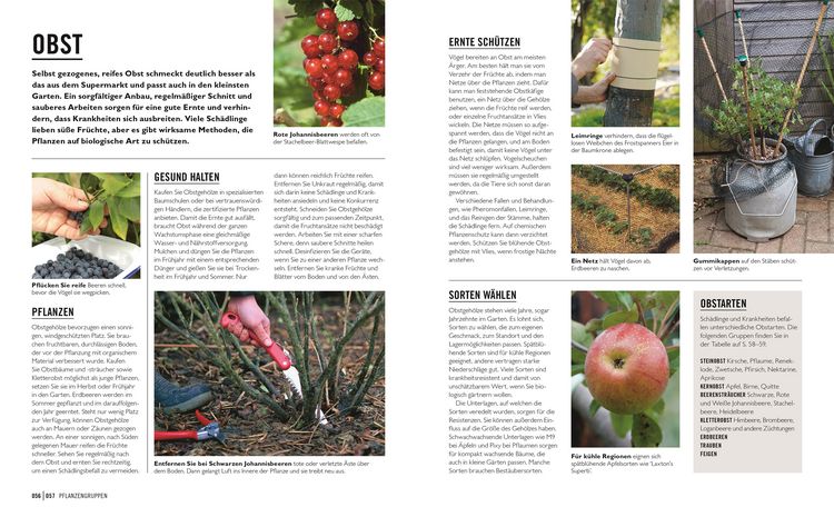 Produktbild: Gr&uuml;nes Gartenwissen. Krankheiten und Sch&auml;dlinge