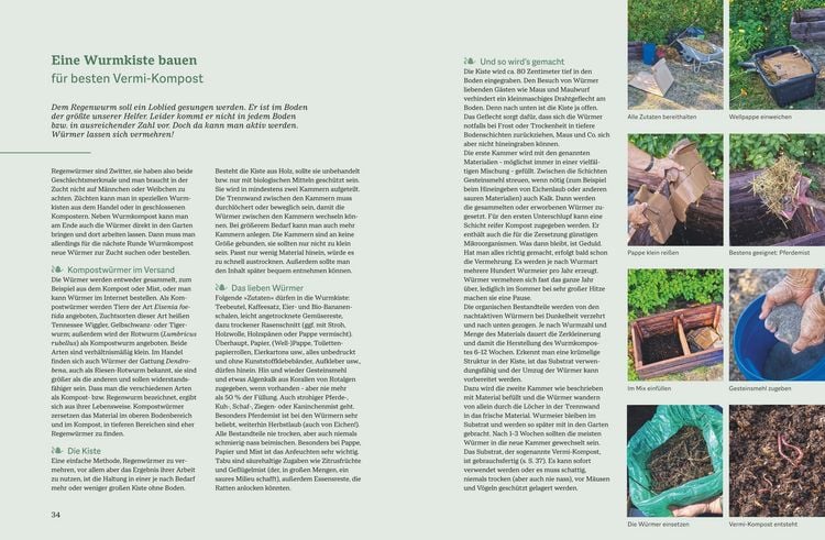 Produktbild: Der optimale Gem&uuml;segarten