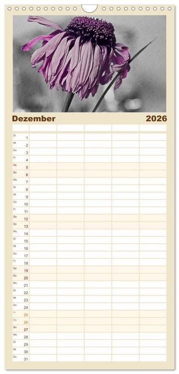 Produktbild: Familienplaner 2026 - Momente in Rosa mit 5 Spalten (Wandkalender, 21 x 45 cm) CALVENDO