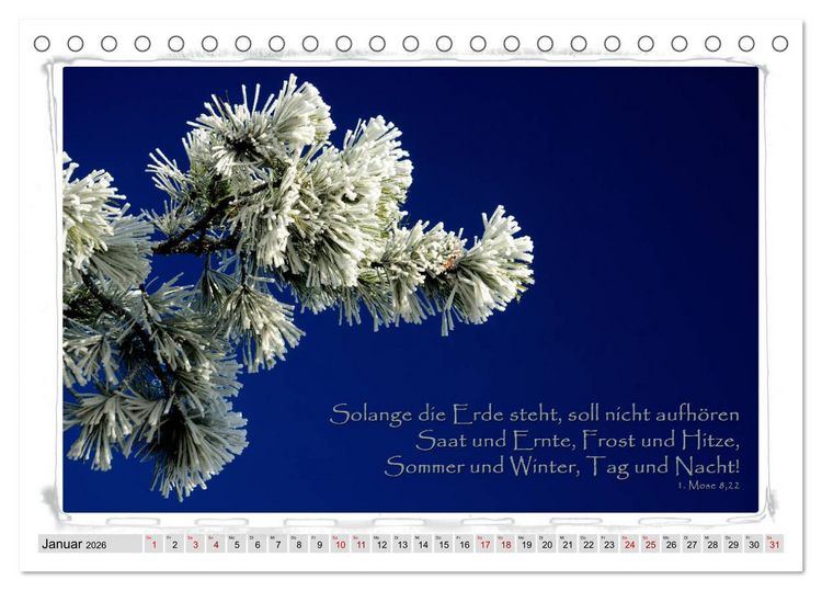 Produktbild: Biblische Spr&uuml;che und Verse (Tischkalender 2026 DIN A5 quer), CALVENDO Monatskalender