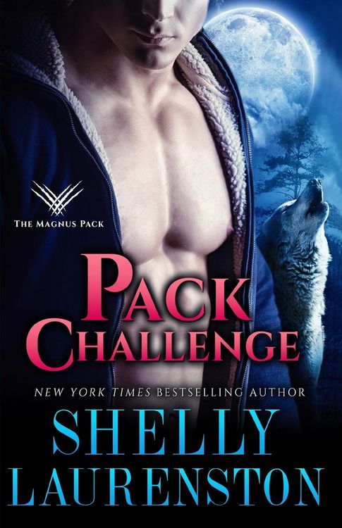 Produktbild: Pack Challenge