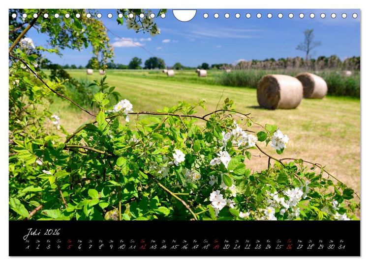 Produktbild: Vier- und Marschlande Hamburgs gr&uuml;ner S&uuml;dosten (Wandkalender 2026 DIN A4 quer), CALVENDO Monatskalender