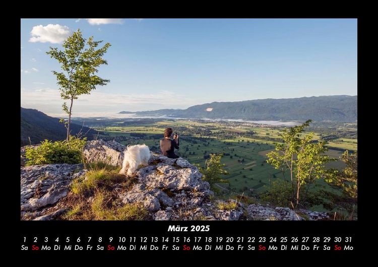 Produktbild: B&auml;ume 2025 Fotokalender DIN A3