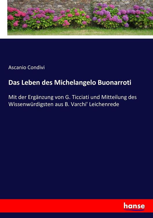 Produktbild: Das Leben des Michelangelo Buonarroti