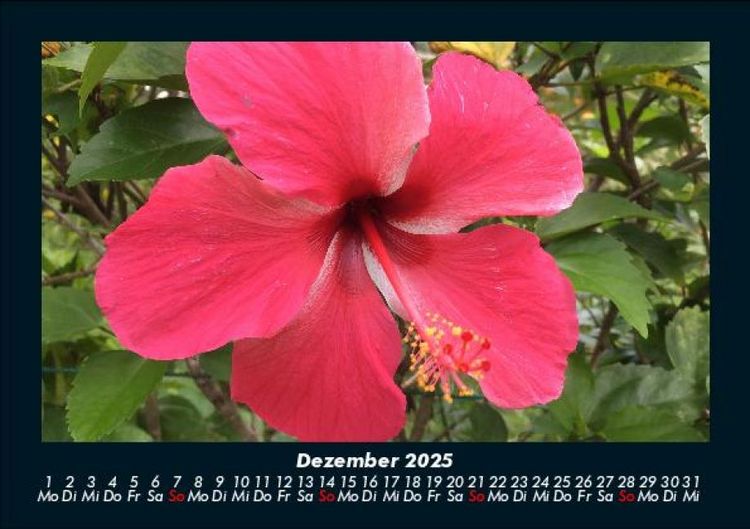 Produktbild: Fernweh 2025 Fotokalender DIN A5