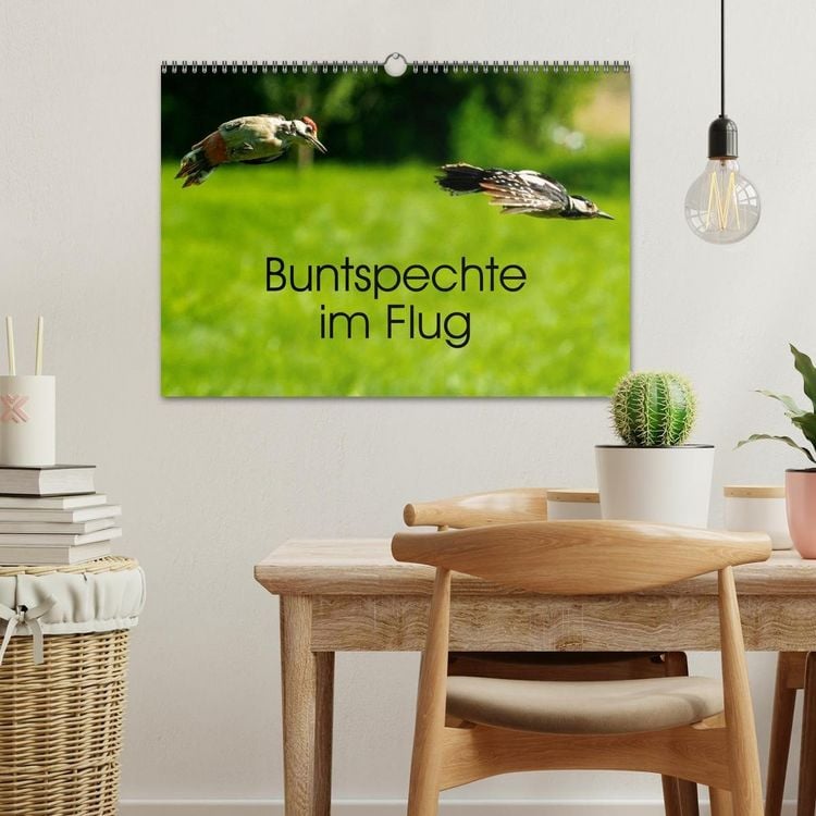Produktbild: Buntspechte im Flug (Wandkalender 2027 DIN A3 quer), CALVENDO Monatskalender