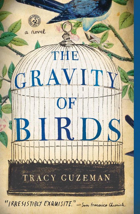Produktbild: The Gravity of Birds