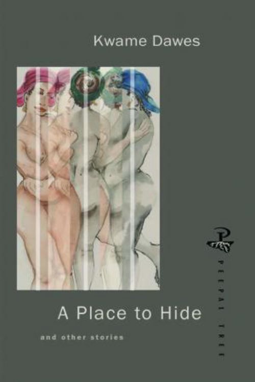 Produktbild: A Place to Hide