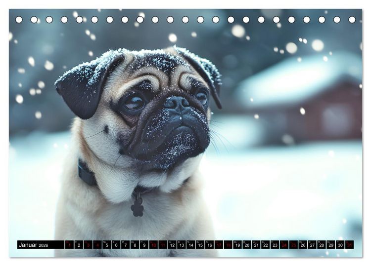 Produktbild: Kleine Helden - eine Hommage an die Mopsrasse (Tischkalender 2026 DIN A5 quer), CALVENDO Monatskalender