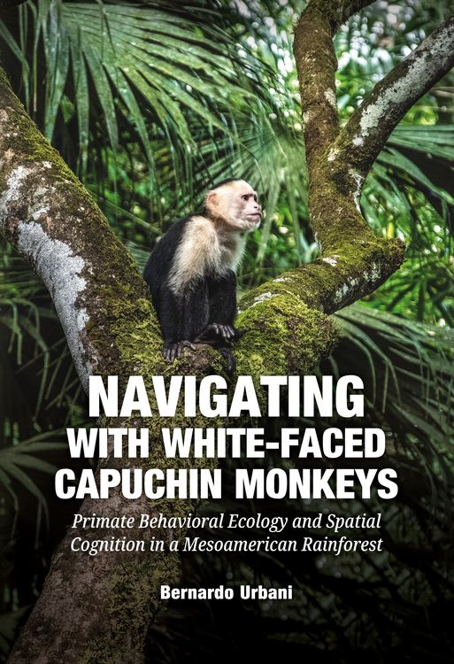 Produktbild: Navigating with White-Faced Capuchin Monkeys