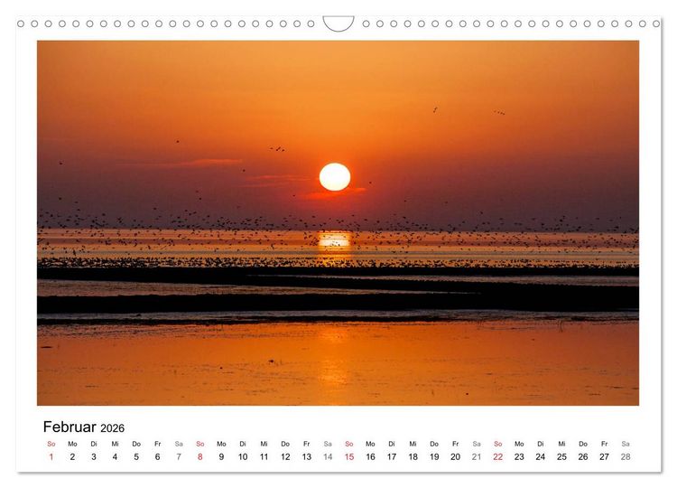 Produktbild: Ostfriesland - Tour (Wandkalender 2026 DIN A3 quer), CALVENDO Monatskalender