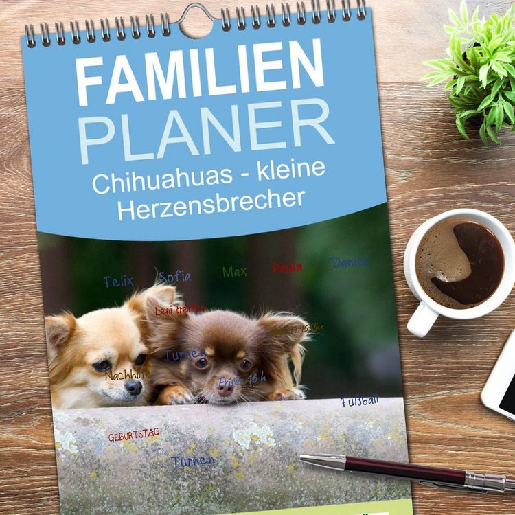 Produktbild: Familienplaner 2026 - Chihuahuas - kleine Herzensbrecher mit 5 Spalten (Wandkalender, 21 x 45 cm) CALVENDO