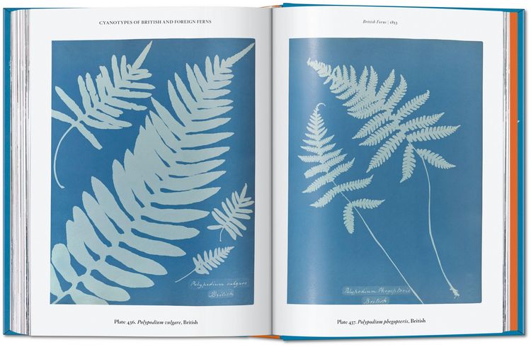 Produktbild: Anna Atkins