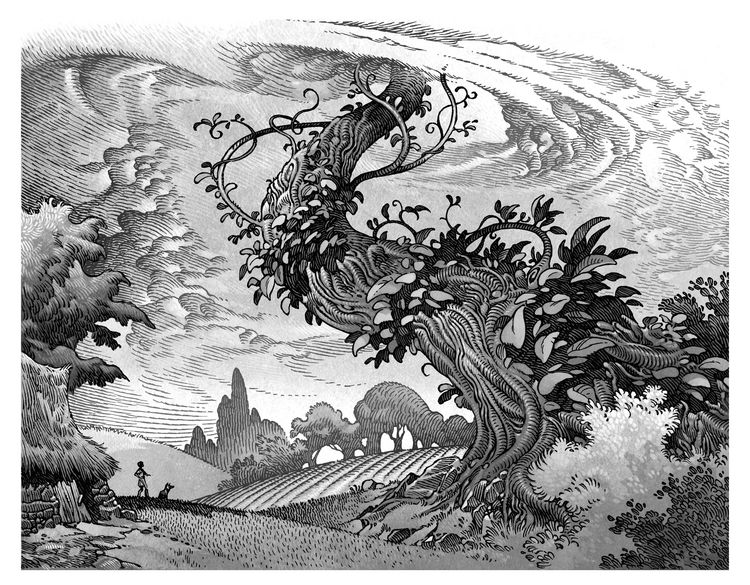 Produktbild: Fairy Tale
