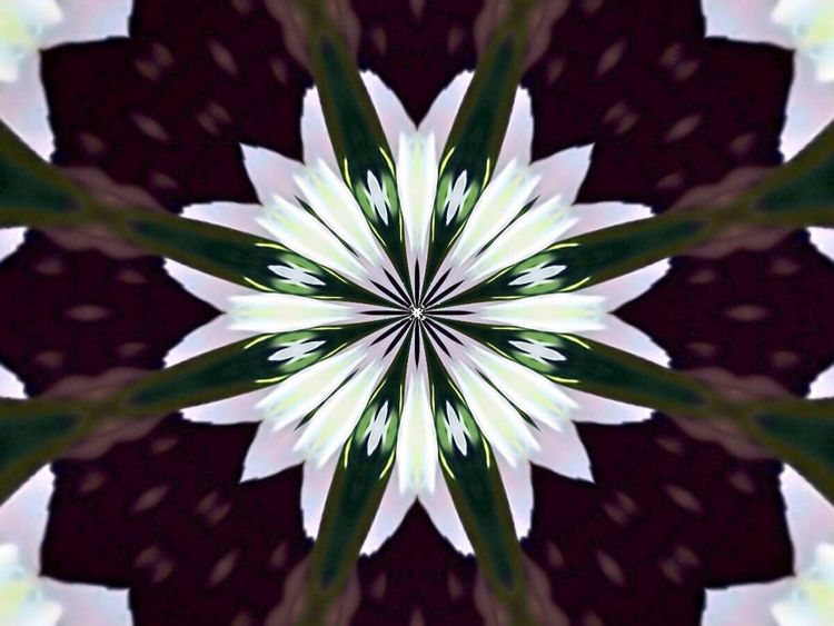 Produktbild: CALVENDO Puzzle Blume des Lebens | 1000 Teile Lege-Gr&ouml;&szlig;e 64x48cm Foto-Puzzle f&uuml;r gl&uuml;ckliche Stunden