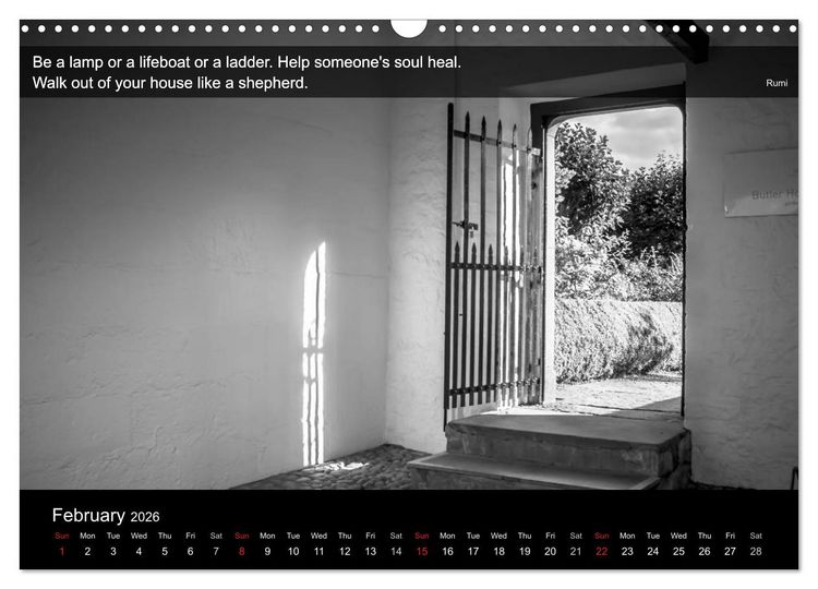 Produktbild: Through the Gate with Rumi (Wall Calendar 2026 DIN A3 landscape), CALVENDO 12 Month Wall Calendar