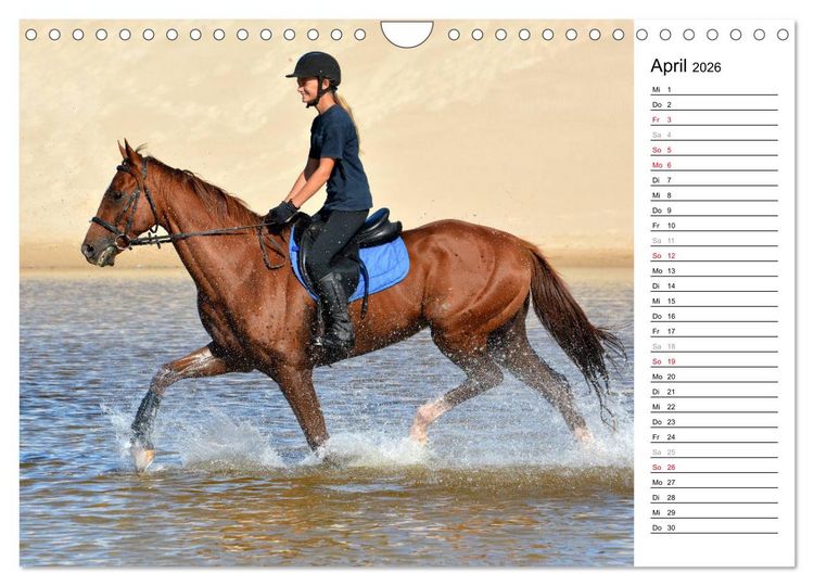 Produktbild: Mein Reitsport Kalender (Wandkalender 2026 DIN A4 quer), CALVENDO Monatskalender