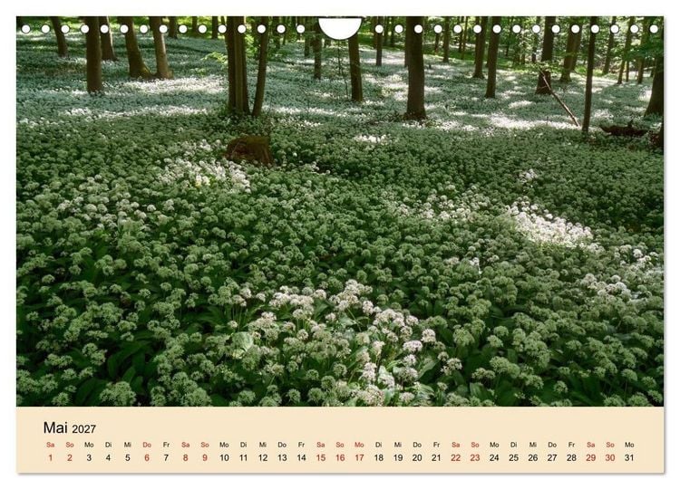 Produktbild: Franken - eine Region voller Naturwunder (Wandkalender 2027 DIN A4 quer), CALVENDO Monatskalender