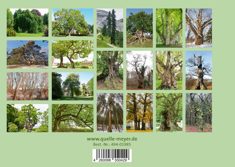 Produktbild: Charakter-B&auml;ume
