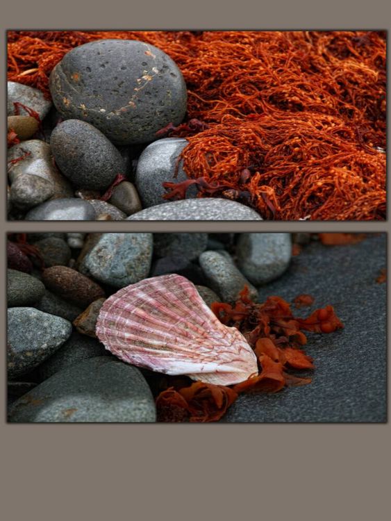 Produktbild: CALVENDO Puzzle Steine und Muscheln am Strand | 1000 Teile Lege-Gr&ouml;&szlig;e 64x48cm Foto-Puzzle f&uuml;r gl&uuml;ckliche Stunden