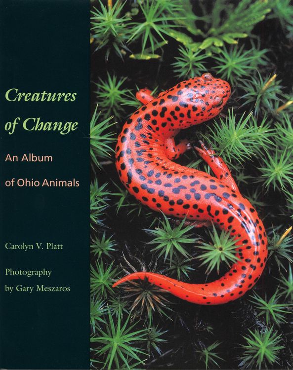 Produktbild: Creatures of Change
