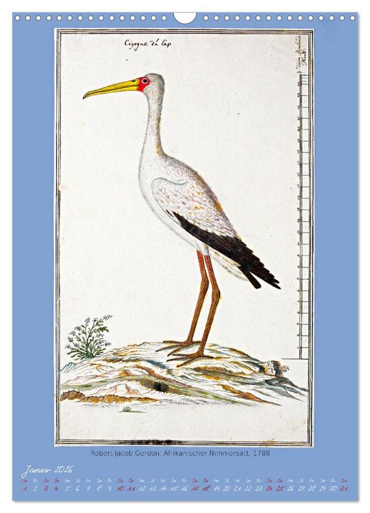 Produktbild: V&ouml;gel des s&uuml;dlichen Afrika (Wandkalender 2026 DIN A3 hoch), CALVENDO Monatskalender