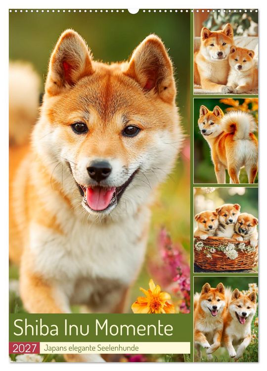 Produktbild: Shiba Inu Momente. Japans elegante Seelenhunde (Wandkalender 2027 DIN A2 hoch), CALVENDO Monatskalender