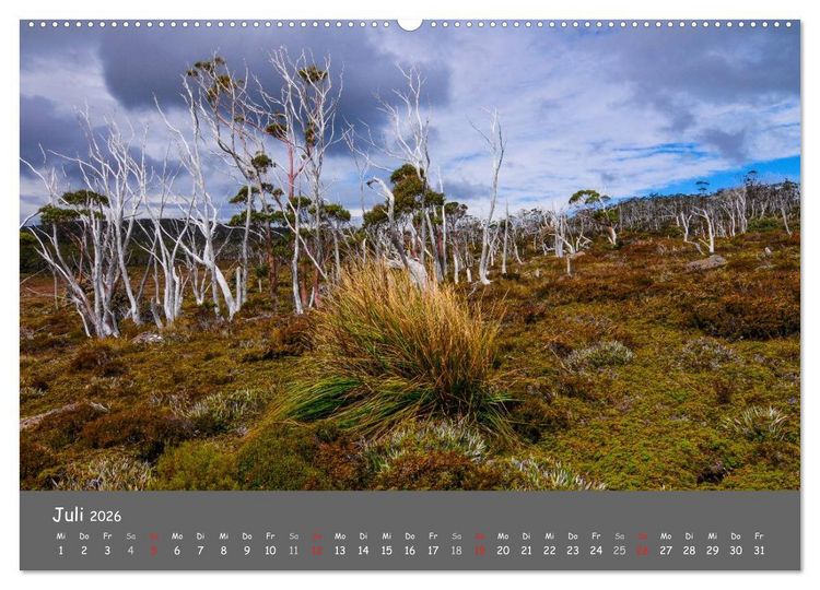 Produktbild: Naturlandschaften Tasmaniens (Wandkalender 2026 DIN A2 quer), CALVENDO Monatskalender