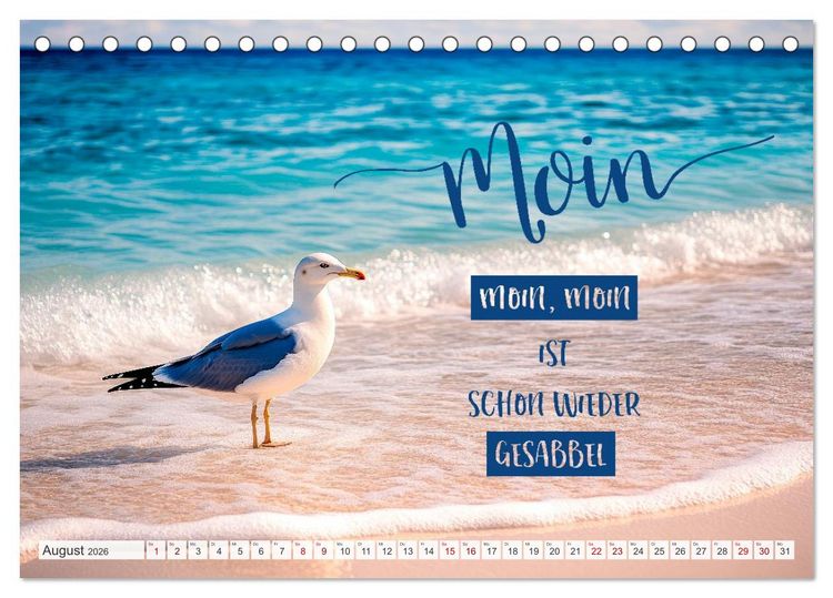 Produktbild: Meerblick und Plattschnack (Tischkalender 2026 DIN A5 quer), CALVENDO Monatskalender
