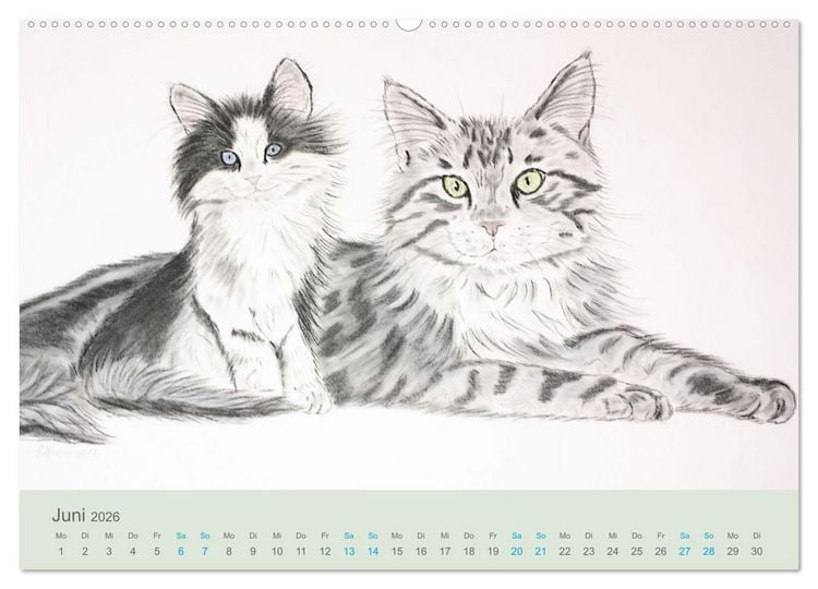 Produktbild: KATZEN PortraiTierART (Wandkalender 2026 DIN A2 quer), CALVENDO Monatskalender