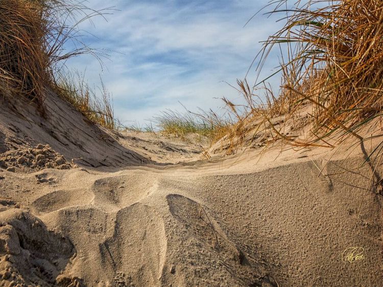 Produktbild: CALVENDO Puzzle Nordsee-D&uuml;nen | 1000 Teile Lege-Gr&ouml;&szlig;e 64x48cm Foto-Puzzle f&uuml;r gl&uuml;ckliche Stunden
