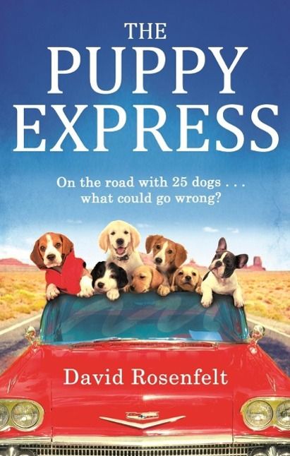Produktbild: The Puppy Express