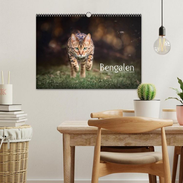 Produktbild: Bengalen Outdoor und Action (Wandkalender 2026 DIN A3 quer), CALVENDO Monatskalender